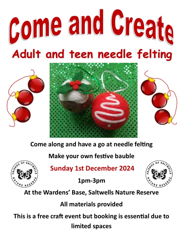 Friends of Saltwells Nature Reserve - Adult and Teen Needle Felting